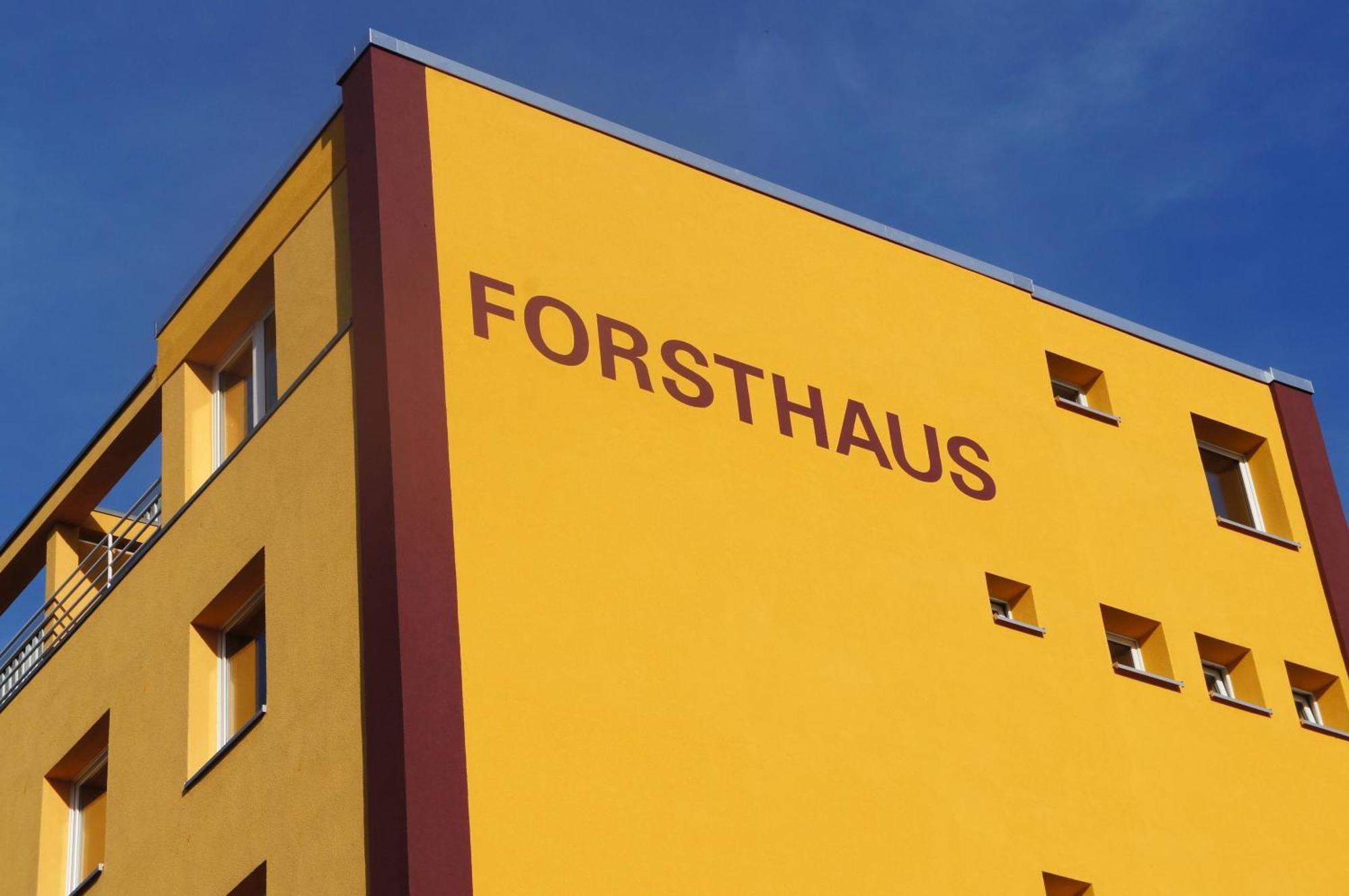 בראונשווייג Forsthaus Appartements מראה חיצוני תמונה